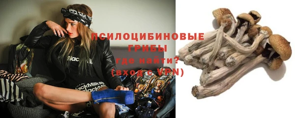 скорость Нязепетровск