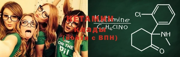 дурь Няндома