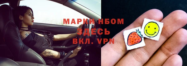 дурь Няндома