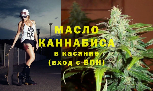 дурь Няндома