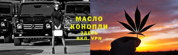 дурь Няндома
