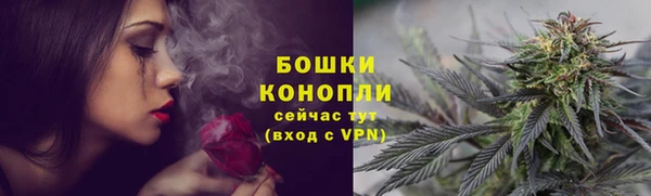 дурь Няндома
