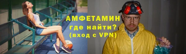 дурь Няндома