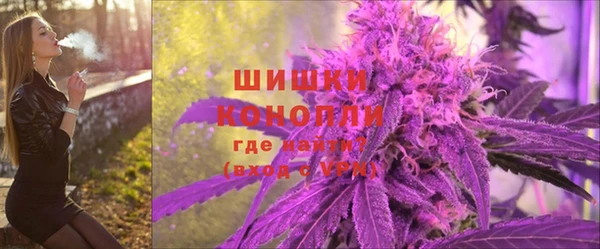 дурь Няндома