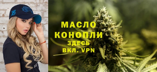 дурь Няндома