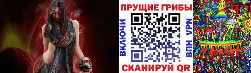 Псилоцибиновые грибы Cubensis  купить наркотики сайты  Сосновка 